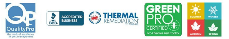 Our Services Logo's